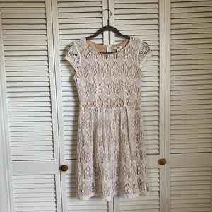 CATO lace dress size 6